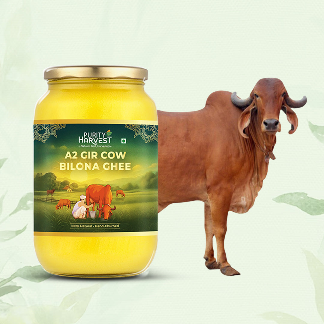 A2 Gir Cow Ghee | Crafted Using Traditional Vedic Bilona Method