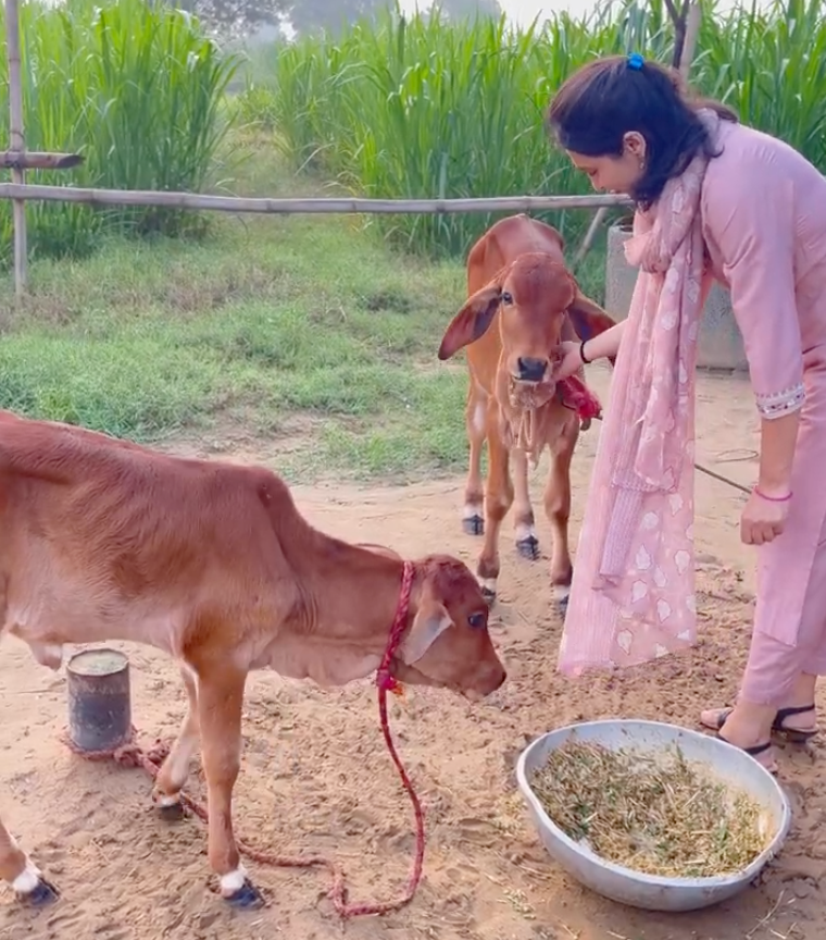 Preserving Tradition, Delivering Purity