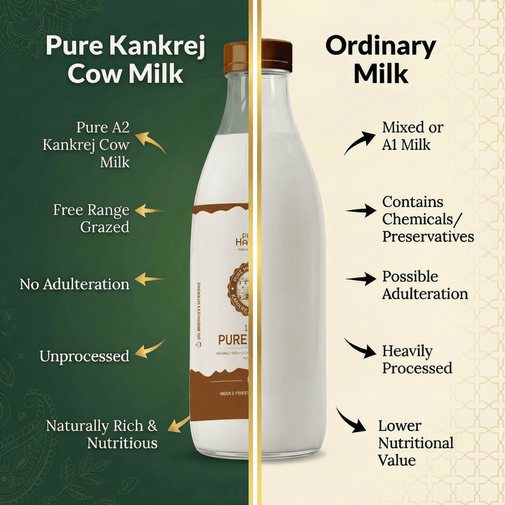 A2 Kankrej Cow Milk - Fat 4.5% - Purity Harvest