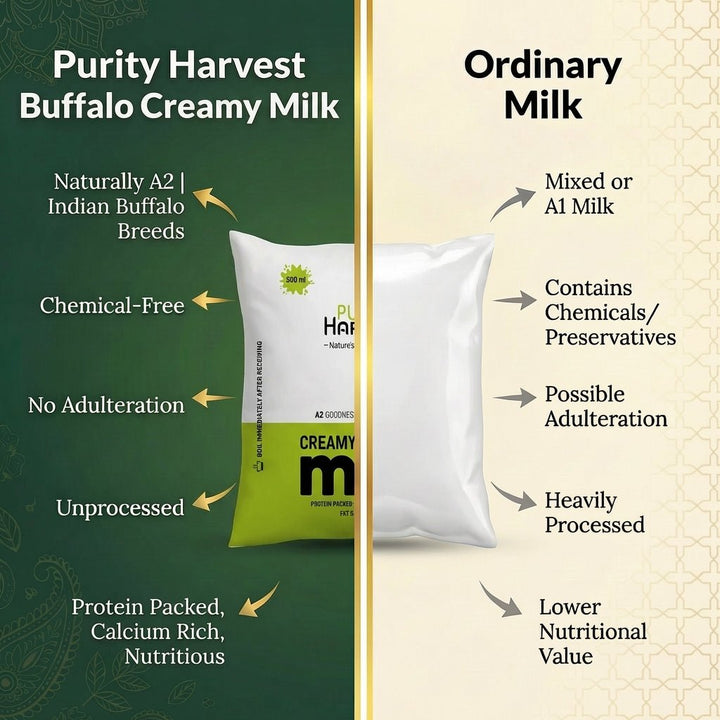 Buffalo Creamy Milk - Fat 5.8% - Purity Harvest