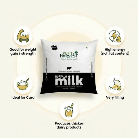 Premium Buffalo Milk - Fat 6.5% – Pouch - 500 ml