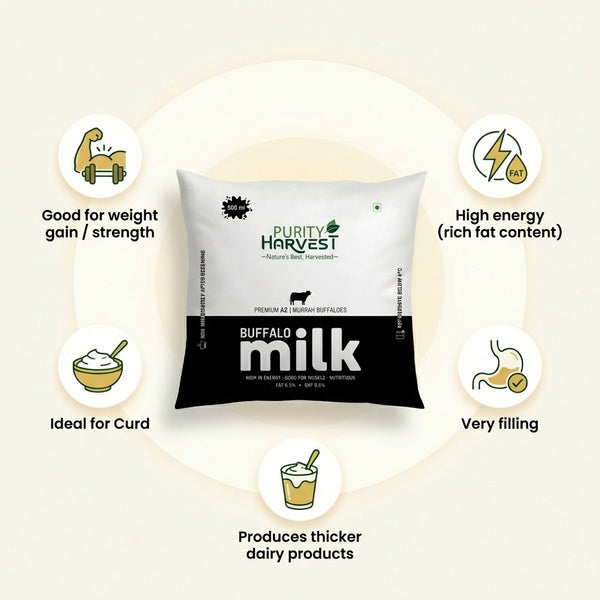 Premium Buffalo Milk - Fat 6.5%