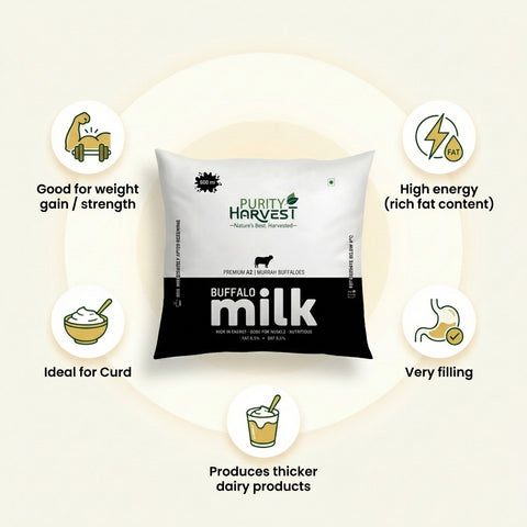 Premium Buffalo Milk - Fat 6.5% – Pouch - 500 ml